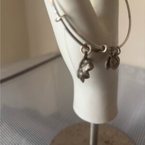 Alex & Ani Silver Crown Charm Bracelet